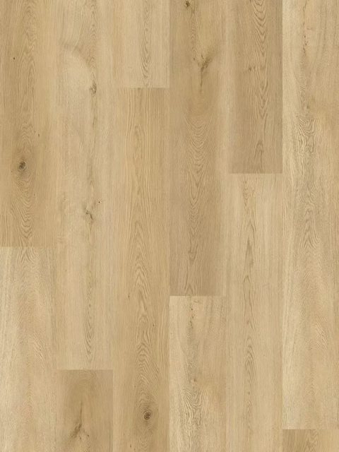 Berne Oak, Reserve collection